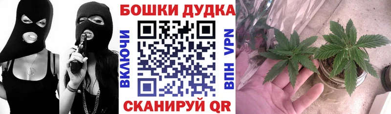 Бошки марихуана план  купить наркотик  Уяр 